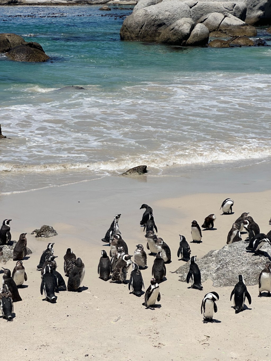 Cape Town, South&nbsp;Africa